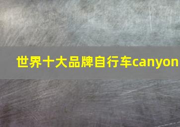 世界十大品牌自行车canyon