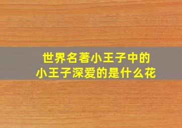 世界名著小王子中的小王子深爱的是什么花