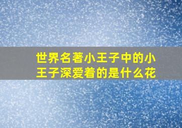 世界名著小王子中的小王子深爱着的是什么花