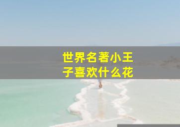 世界名著小王子喜欢什么花