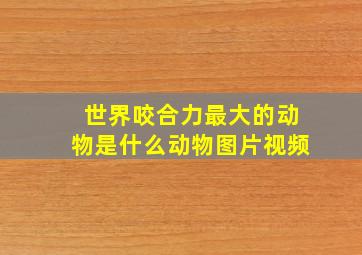 世界咬合力最大的动物是什么动物图片视频