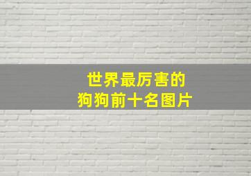 世界最厉害的狗狗前十名图片