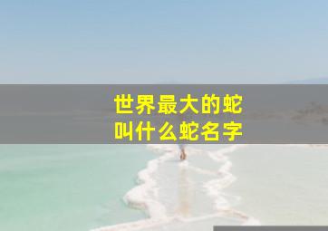 世界最大的蛇叫什么蛇名字