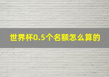 世界杯0.5个名额怎么算的