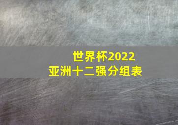 世界杯2022亚洲十二强分组表