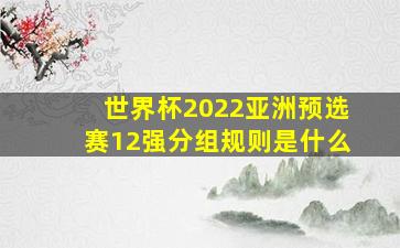 世界杯2022亚洲预选赛12强分组规则是什么