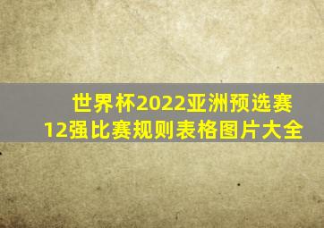 世界杯2022亚洲预选赛12强比赛规则表格图片大全