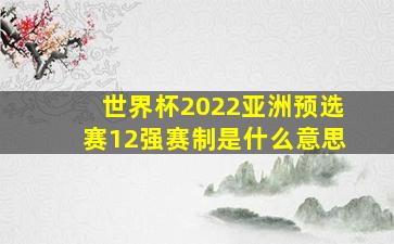 世界杯2022亚洲预选赛12强赛制是什么意思