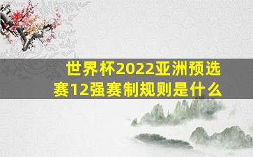 世界杯2022亚洲预选赛12强赛制规则是什么