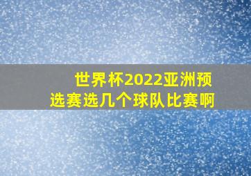 世界杯2022亚洲预选赛选几个球队比赛啊