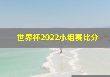 世界杯2022小组赛比分