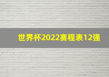 世界杯2022赛程表12强