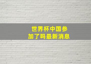 世界杯中国参加了吗最新消息