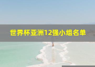 世界杯亚洲12强小组名单