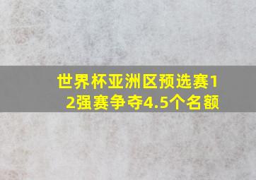 世界杯亚洲区预选赛12强赛争夺4.5个名额