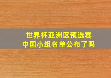 世界杯亚洲区预选赛中国小组名单公布了吗