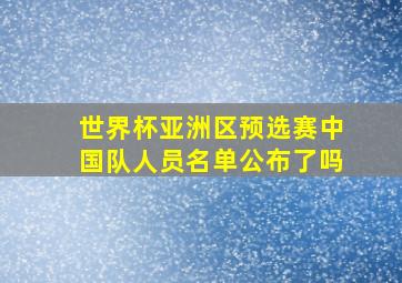 世界杯亚洲区预选赛中国队人员名单公布了吗