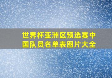 世界杯亚洲区预选赛中国队员名单表图片大全