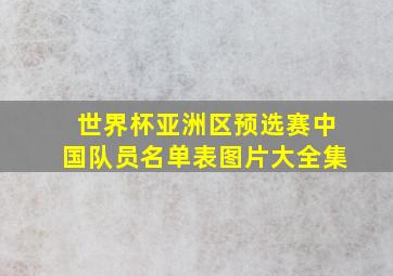 世界杯亚洲区预选赛中国队员名单表图片大全集