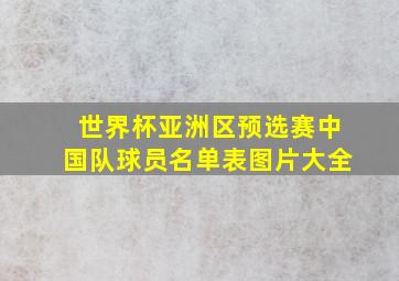 世界杯亚洲区预选赛中国队球员名单表图片大全