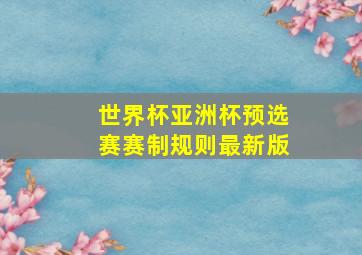 世界杯亚洲杯预选赛赛制规则最新版