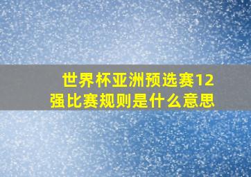 世界杯亚洲预选赛12强比赛规则是什么意思