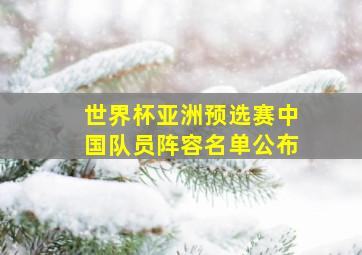 世界杯亚洲预选赛中国队员阵容名单公布