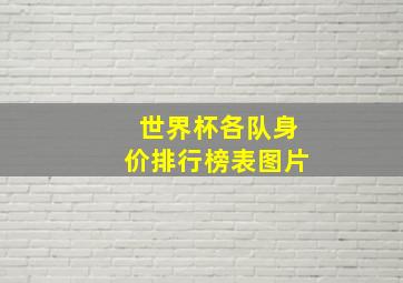 世界杯各队身价排行榜表图片