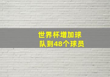 世界杯增加球队到48个球员