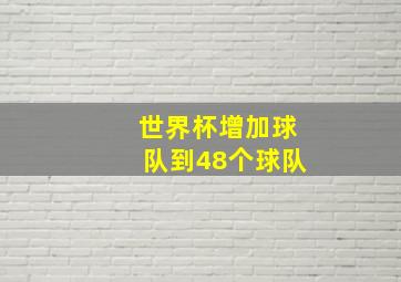 世界杯增加球队到48个球队