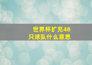 世界杯扩充48只球队什么意思