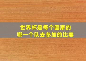 世界杯是每个国家的哪一个队去参加的比赛