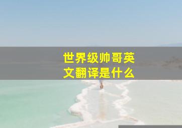 世界级帅哥英文翻译是什么