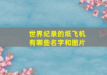 世界纪录的纸飞机有哪些名字和图片