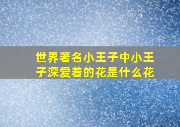 世界著名小王子中小王子深爱着的花是什么花