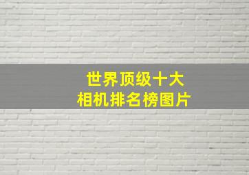 世界顶级十大相机排名榜图片