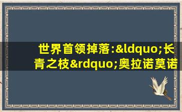 世界首领掉落:“长青之枝”奥拉诺莫诺斯