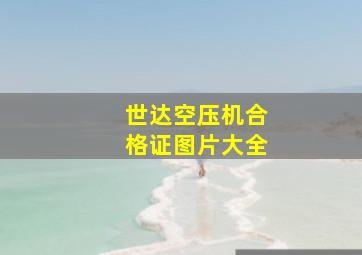 世达空压机合格证图片大全