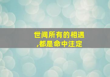 世间所有的相遇,都是命中注定