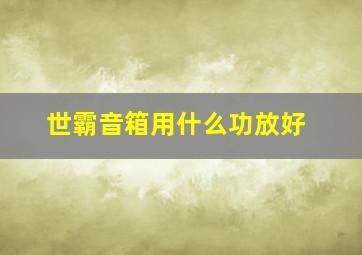 世霸音箱用什么功放好