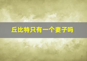 丘比特只有一个妻子吗