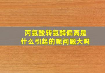 丙氨酸转氨酶偏高是什么引起的呢问题大吗