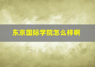 东京国际学院怎么样啊