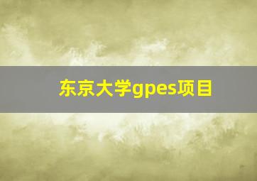 东京大学gpes项目