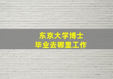 东京大学博士毕业去哪里工作