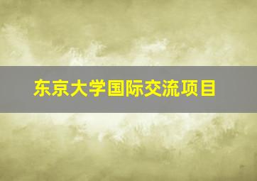 东京大学国际交流项目