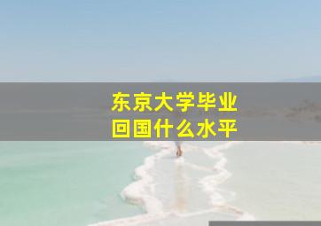 东京大学毕业回国什么水平