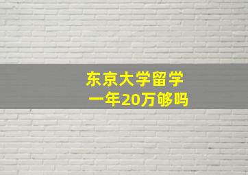 东京大学留学一年20万够吗