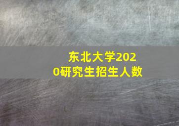 东北大学2020研究生招生人数