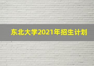 东北大学2021年招生计划